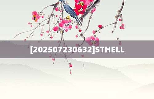 [202507230632]STHELL