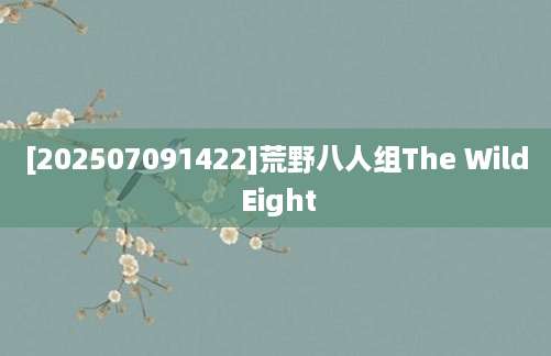 [202507091422]荒野八人组The Wild Eight