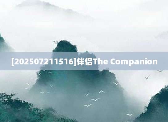 [202507211516]伴侣The Companion