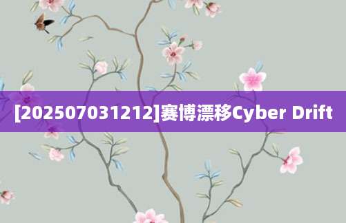 [202507031212]赛博漂移Cyber Drift