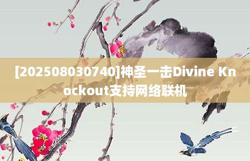 [202508030740]神圣一击Divine Knockout支持网络联机