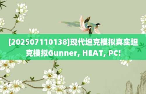 [202507110138]现代坦克模拟真实坦克模拟Gunner, HEAT, PC!
