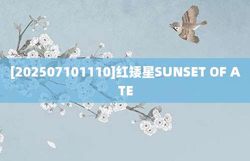 [202507101110]红矮星SUNSET OF ATE