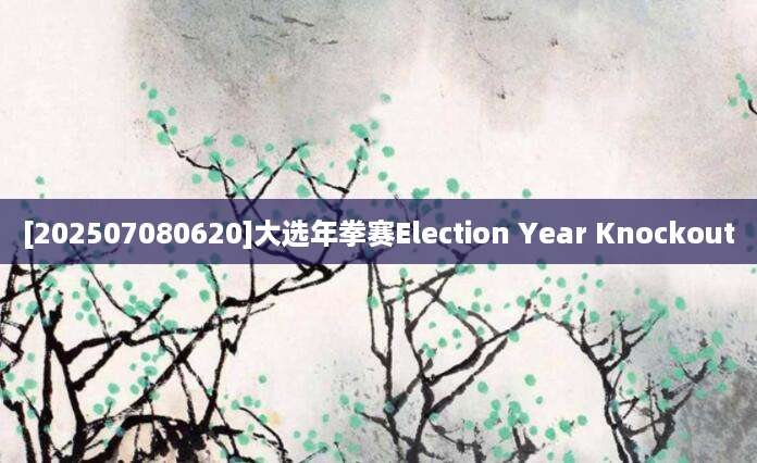 [202507080620]大选年拳赛Election Year Knockout