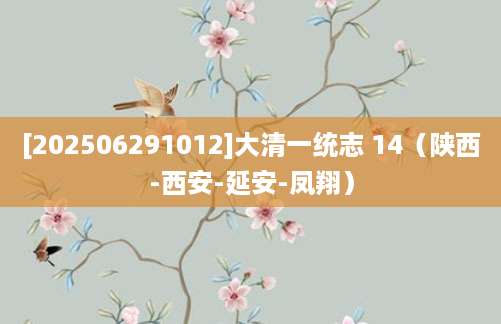 [202506291012]大清一统志 14（陕西-西安-延安-凤翔）