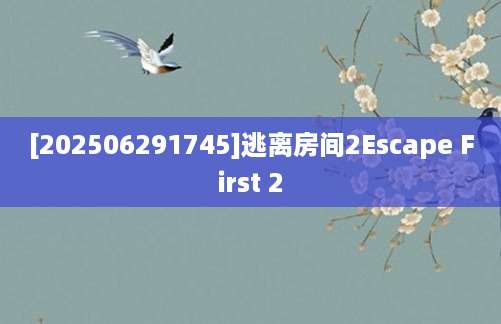 [202506291745]逃离房间2Escape First 2