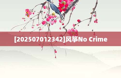 [202507012342]风筝No Crime