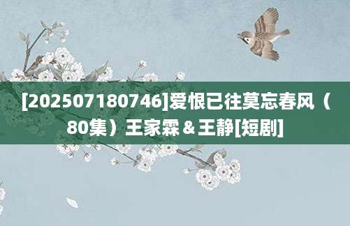 [202507180746]爱恨已往莫忘春风（80集）王家霖＆王静[短剧]