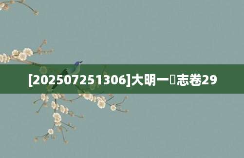 [202507251306]大明一統志卷29