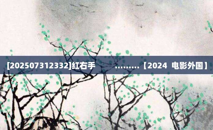 [202507312332]红右手         .........【2024  电影外国】