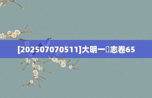 [202507070511]大明一統志卷65