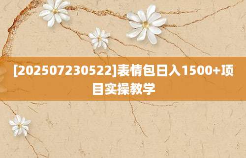 [202507230522]表情包日入1500+项目实操教学