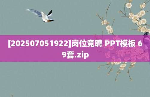 [202507051922]岗位竞聘 PPT模板 69套.zip