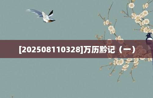 [202508110328]万历黔记（一）