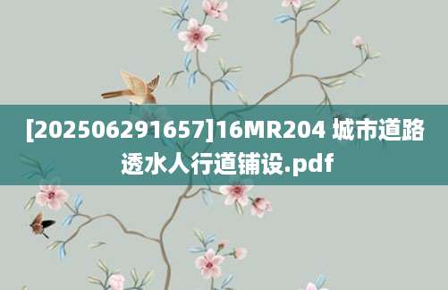 [202506291657]16MR204 城市道路 透水人行道铺设.pdf