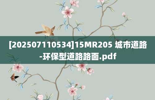 [202507110534]15MR205 城市道路-环保型道路路面.pdf