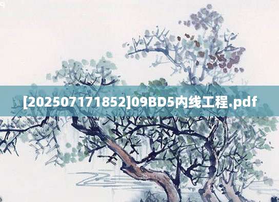 [202507171852]09BD5内线工程.pdf