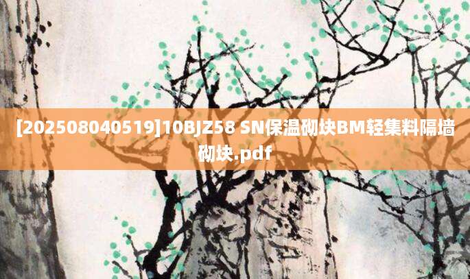 [202508040519]10BJZ58 SN保温砌块BM轻集料隔墙砌块.pdf