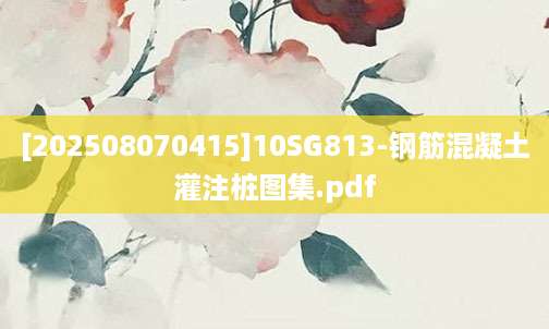 [202508070415]10SG813-钢筋混凝土灌注桩图集.pdf