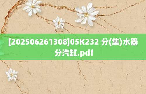 [202506261308]05K232 分(集)水器 分汽缸.pdf