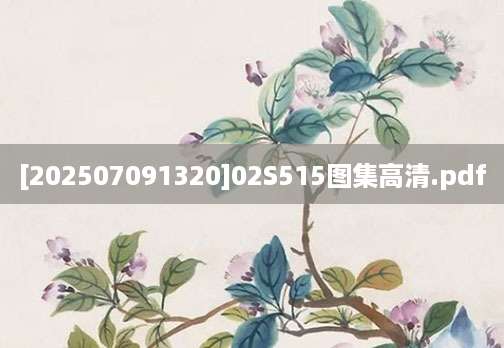 [202507091320]02S515图集高清.pdf