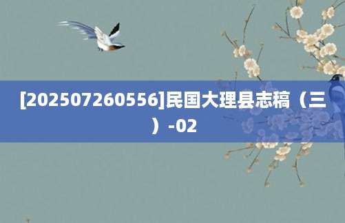 [202507260556]民国大理县志稿（三）-02