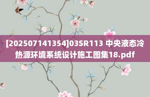 [202507141354]03SR113 中央液态冷热源环境系统设计施工图集18.pdf