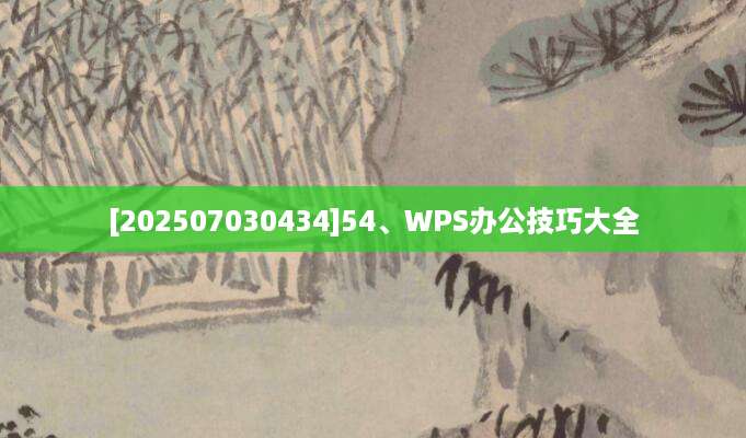 [202507030434]54、WPS办公技巧大全