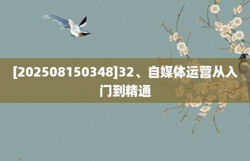 [202508150348]32、自媒体运营从入门到精通