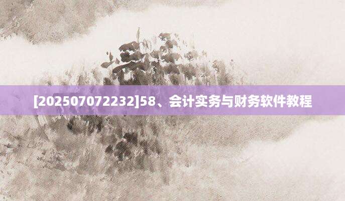 [202507072232]58、会计实务与财务软件教程