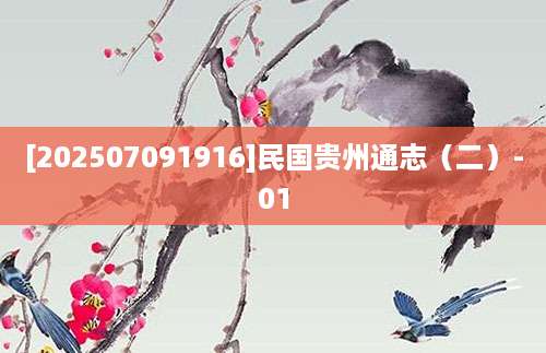 [202507091916]民国贵州通志（二）-01