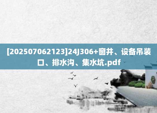 [202507062123]24J306+窗井、设备吊装口、排水沟、集水坑.pdf