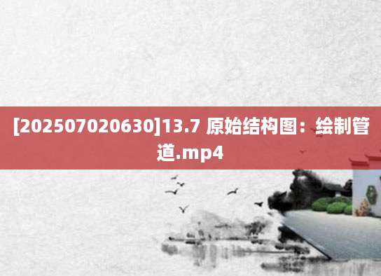 [202507020630]13.7 原始结构图：绘制管道.mp4