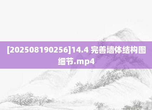 [202508190256]14.4 完善墙体结构图细节.mp4