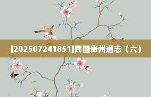 [202507241851]民国贵州通志（六）