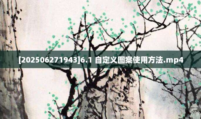 [202506271943]6.1 自定义图案使用方法.mp4