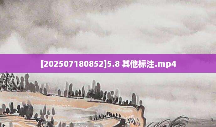 [202507180852]5.8 其他标注.mp4