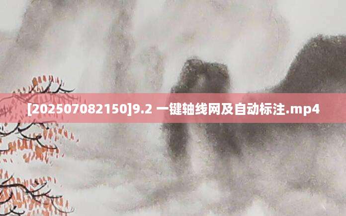 [202507082150]9.2 一键轴线网及自动标注.mp4