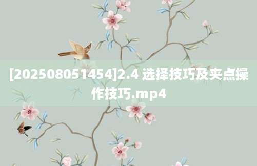 [202508051454]2.4 选择技巧及夹点操作技巧.mp4