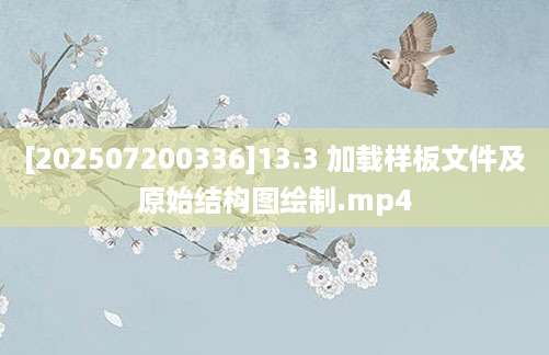 [202507200336]13.3 加载样板文件及原始结构图绘制.mp4