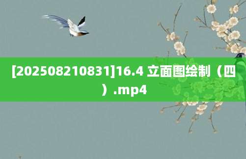 [202508210831]16.4 立面图绘制（四）.mp4