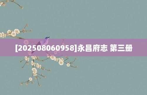 [202508060958]永昌府志 第三册