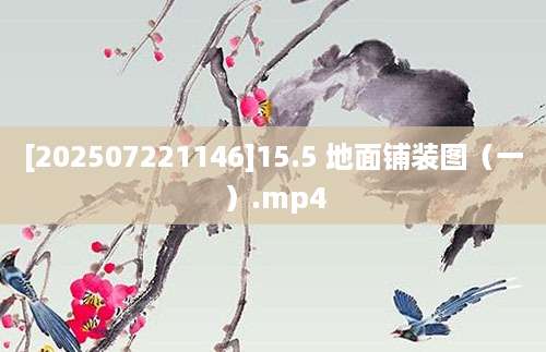 [202507221146]15.5 地面铺装图（一）.mp4