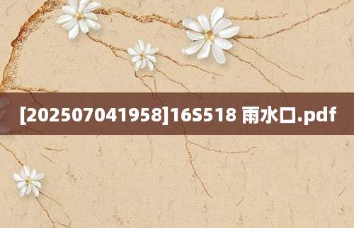 [202507041958]16S518 雨水口.pdf