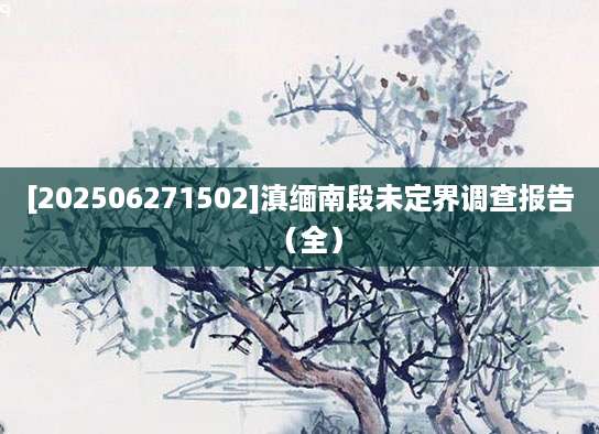 [202506271502]滇缅南段未定界调查报告（全）