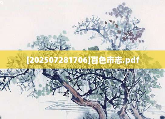 [202507281706]百色市志.pdf