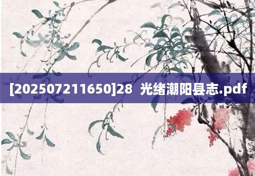 [202507211650]28  光绪潮阳县志.pdf