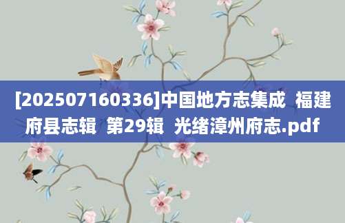 [202507160336]中国地方志集成  福建府县志辑  第29辑  光绪漳州府志.pdf