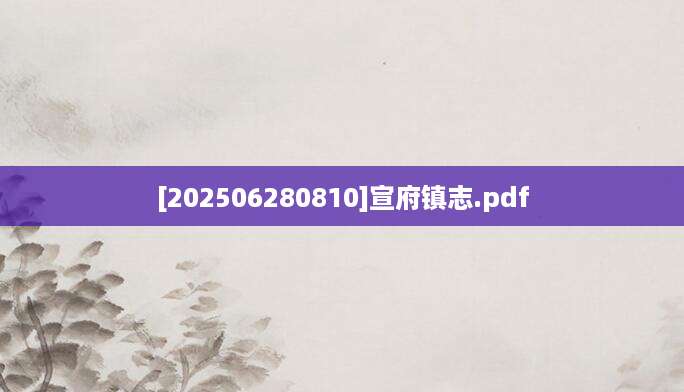 [202506280810]宣府镇志.pdf